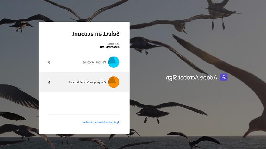 Adobe sign login screen, choosing company or school account